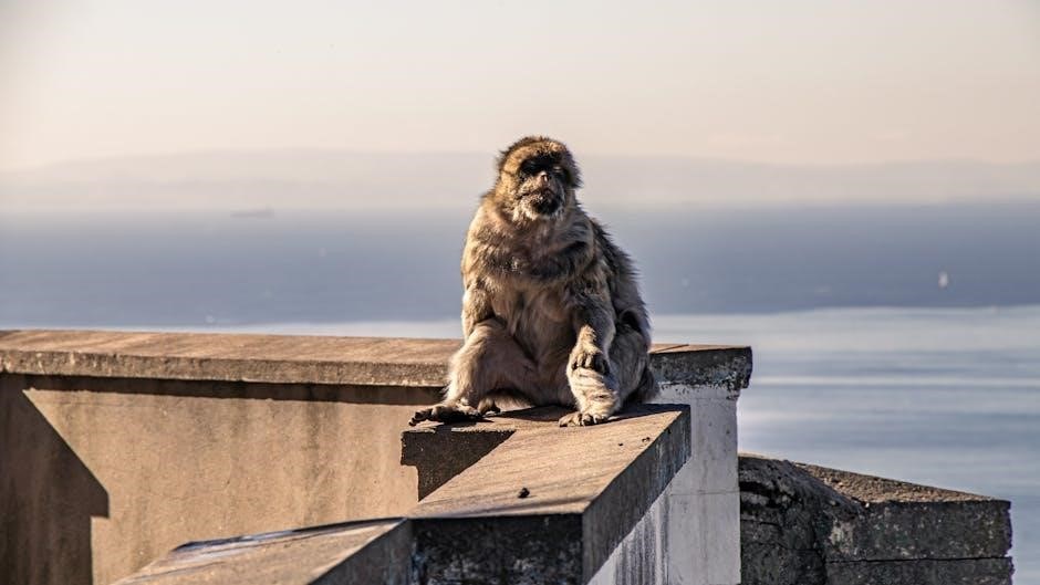 tv guide fort lauderdale