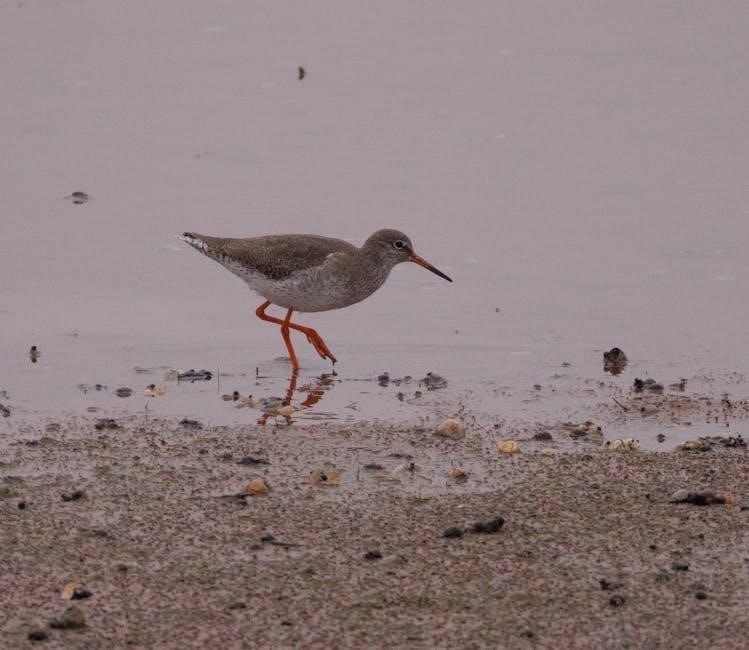 simms g3 guide wading boots simms g3 guide wading boots