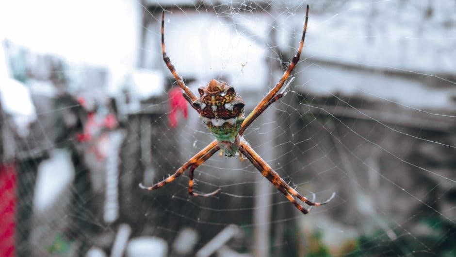 spider-man the ultimate guide